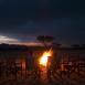 Charlas junto al fuego en Serengeti, en el Kati Kati Tented Camp