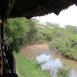 Vistas del río Talek desde el comedor del Simba Mara Lodge