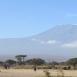 A los pies del Kilimanjaro y del Kibo, los masais establecen sus aldeas