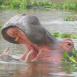 El hipopótamo, uno de los habitantes de las aguas del lago Manyara