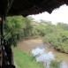 Vistas del río Talek desde el comedor del Simba Mara Lodge