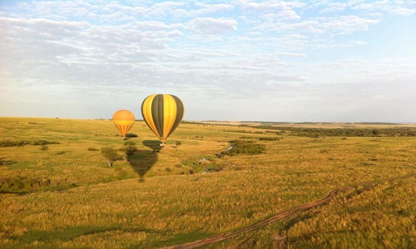 Ballooning Mara