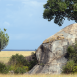 Los famosos kopjes, formaciones rocosas de granito en las que los felinos descansan gran parte del día